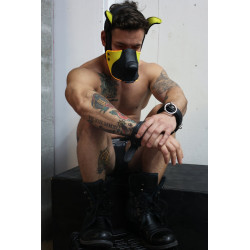 Breedwell Masque Poundtown Pup Breedwell Noir-Jaune